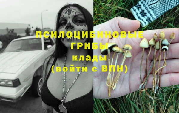 mix Белокуриха
