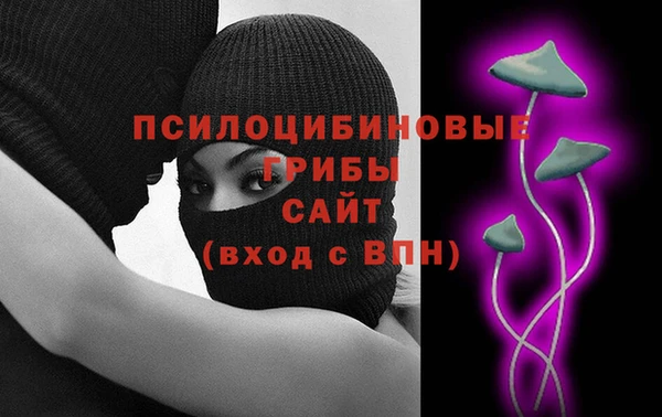 mix Белокуриха