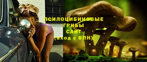 ECSTASY Белоозёрский