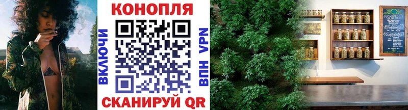 закладка  Биробиджан  Конопля планчик 